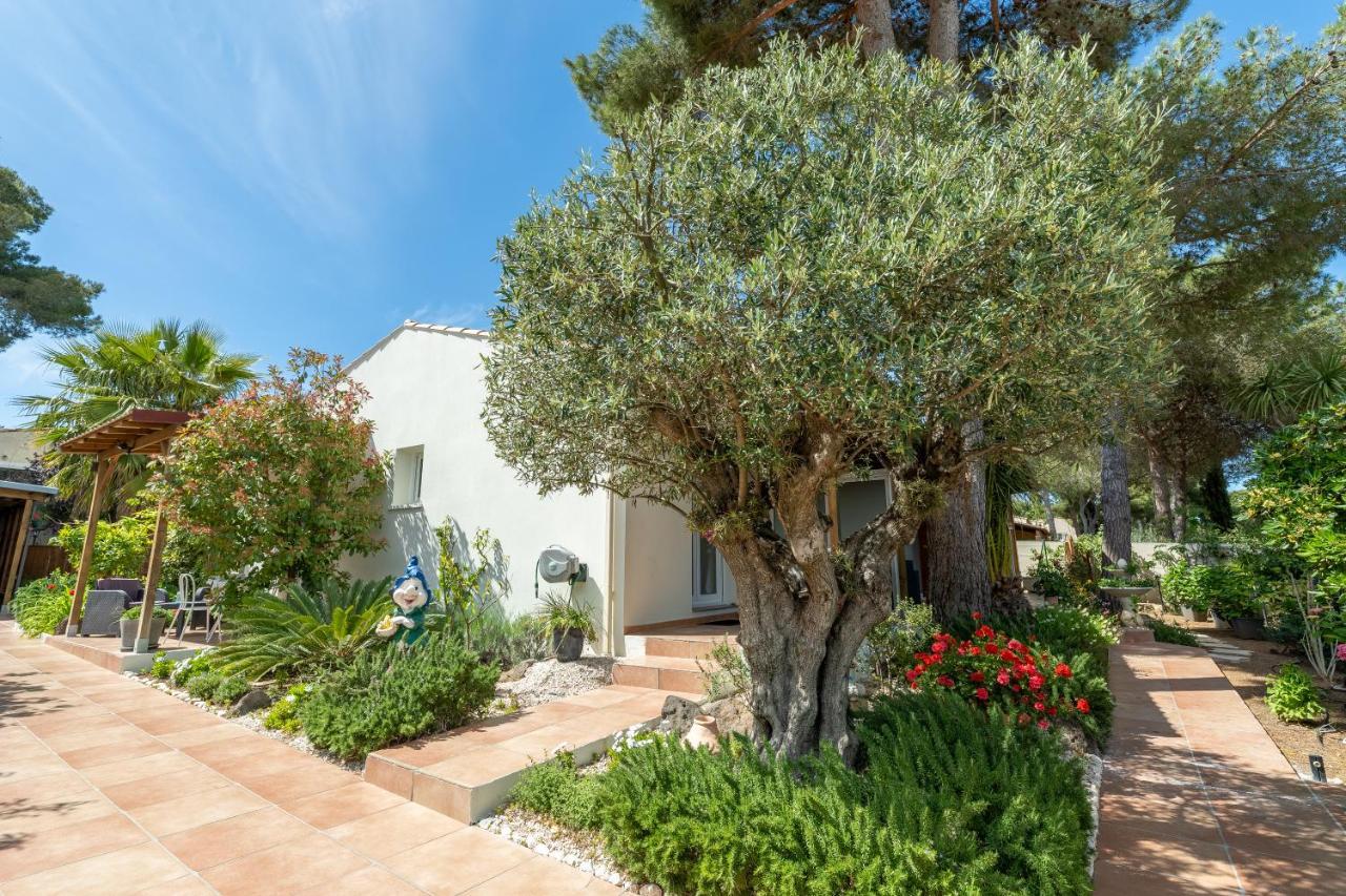 La Villa De L'Olivier Agde Exteriér fotografie
